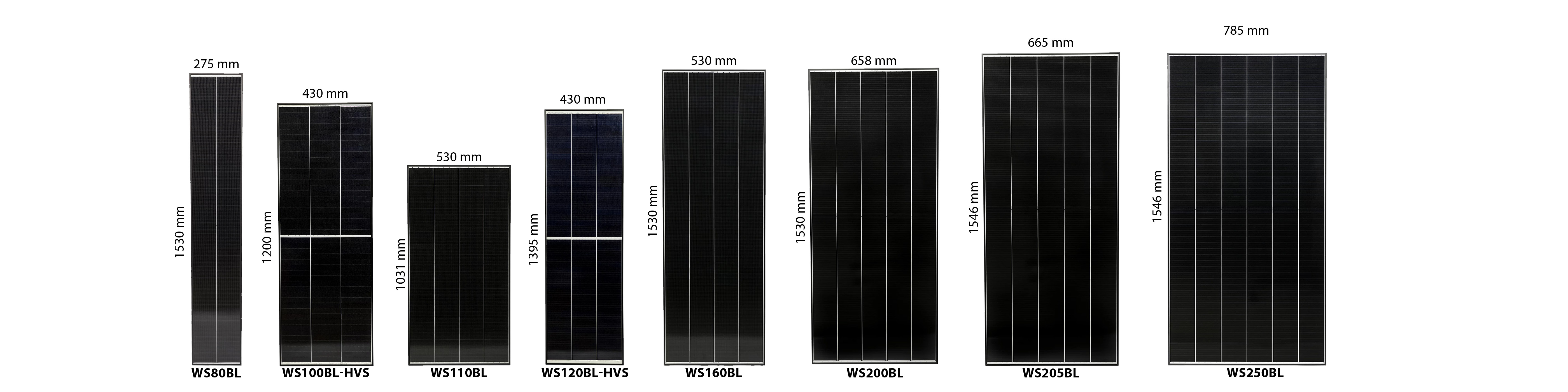 WATTSTUNDE BLACK LINE Solarmodule 